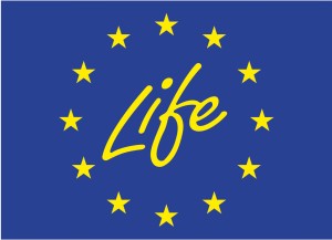 Logo_Life