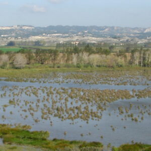 Marais de l'Ilon