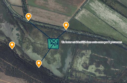 Quadrillage de zone pour le butor