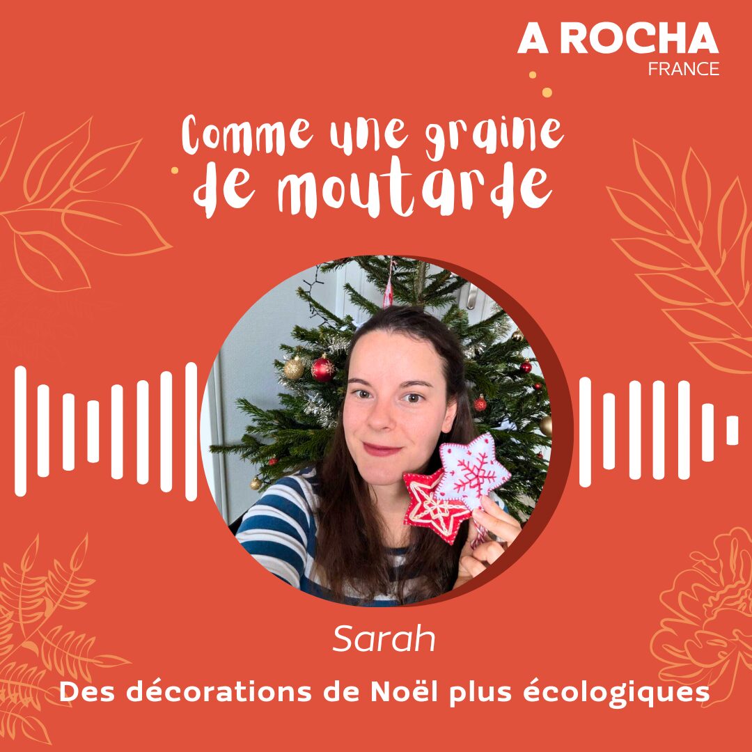 Comme une graine de moutarde #12 : Des décorations de Noël plus écologiques