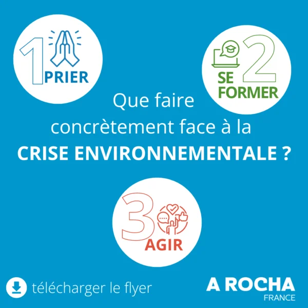 Que faire concrètement face à la crise environnementale ?