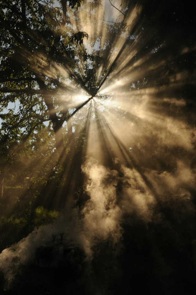 Liens entre écologie et spiritualité