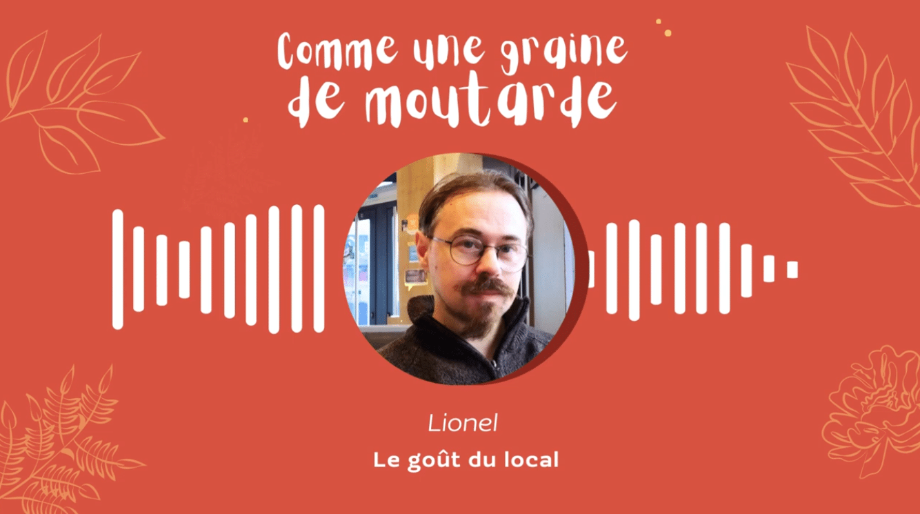 Comme une graine de moutarde #14 : Le goût du localdécorations de Noël plus écologiques