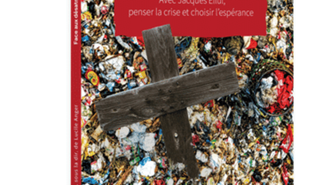 Livre Face au désastre