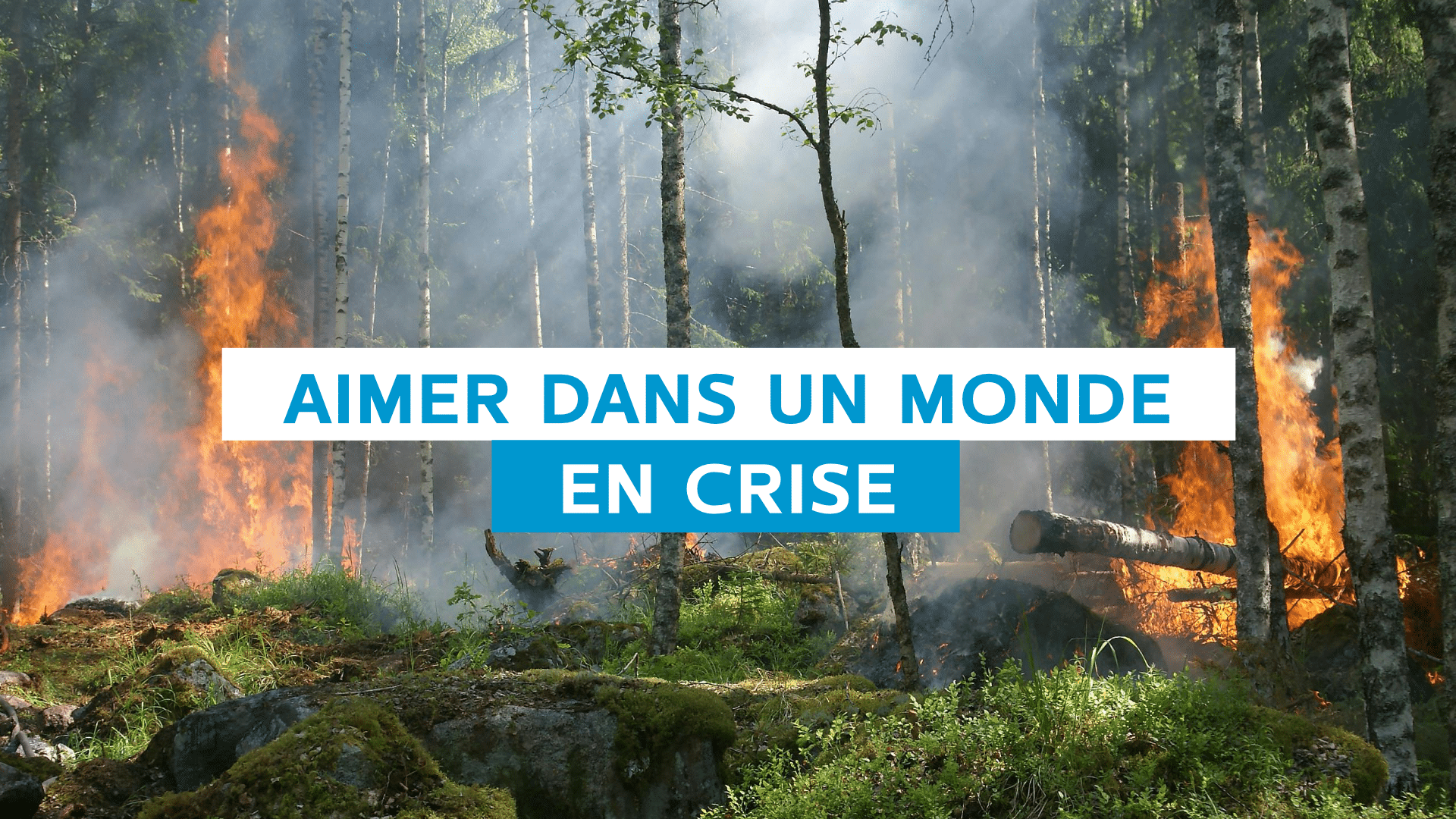 Webinaire Aimer dans un monde en crise