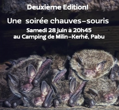Soirée Chauves-Souris 2025