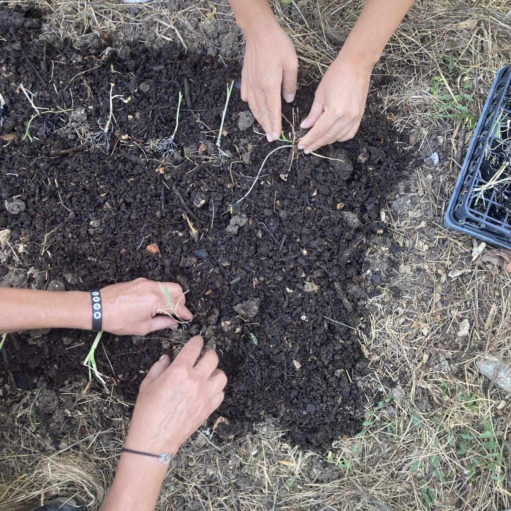 Jardinage pendant la semaine Terre et Foi 2025
