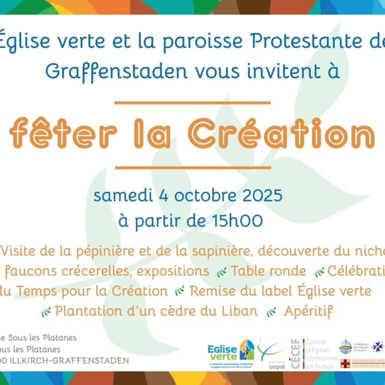 Fête de la création