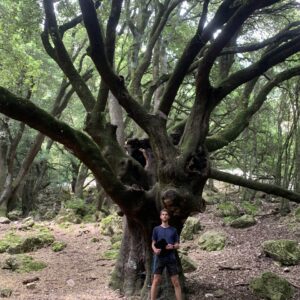 Pierre devant un chêne centenaire aux Courmettes