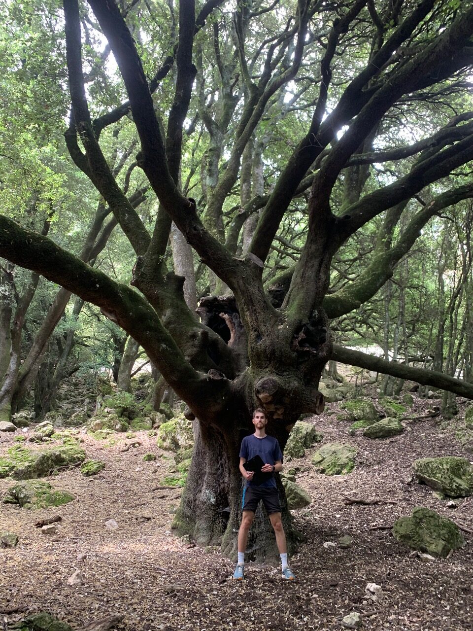 Pierre devant un chêne centenaire aux Courmettes