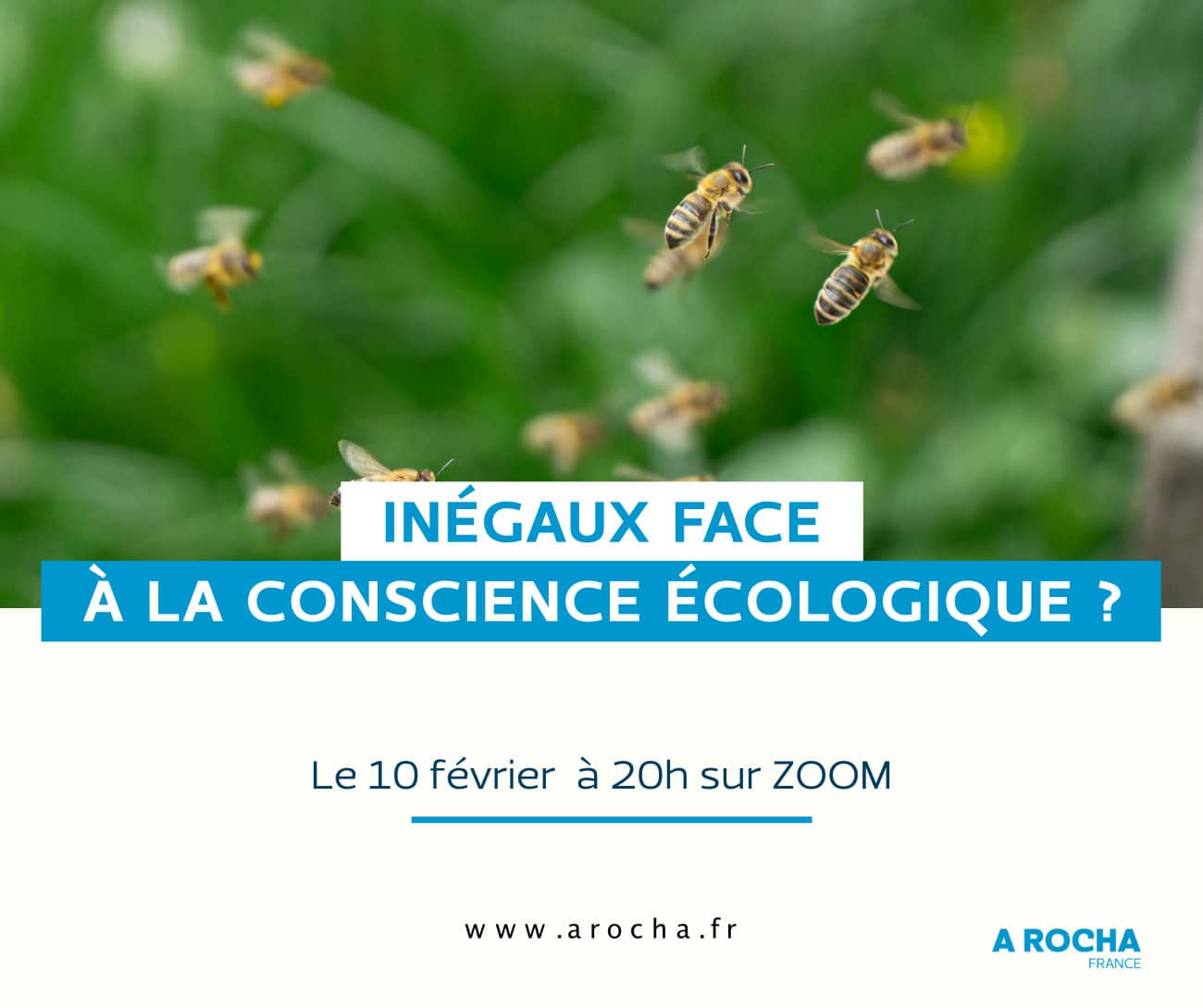 Webinaire Inégaux face à la conscience écologique ?
