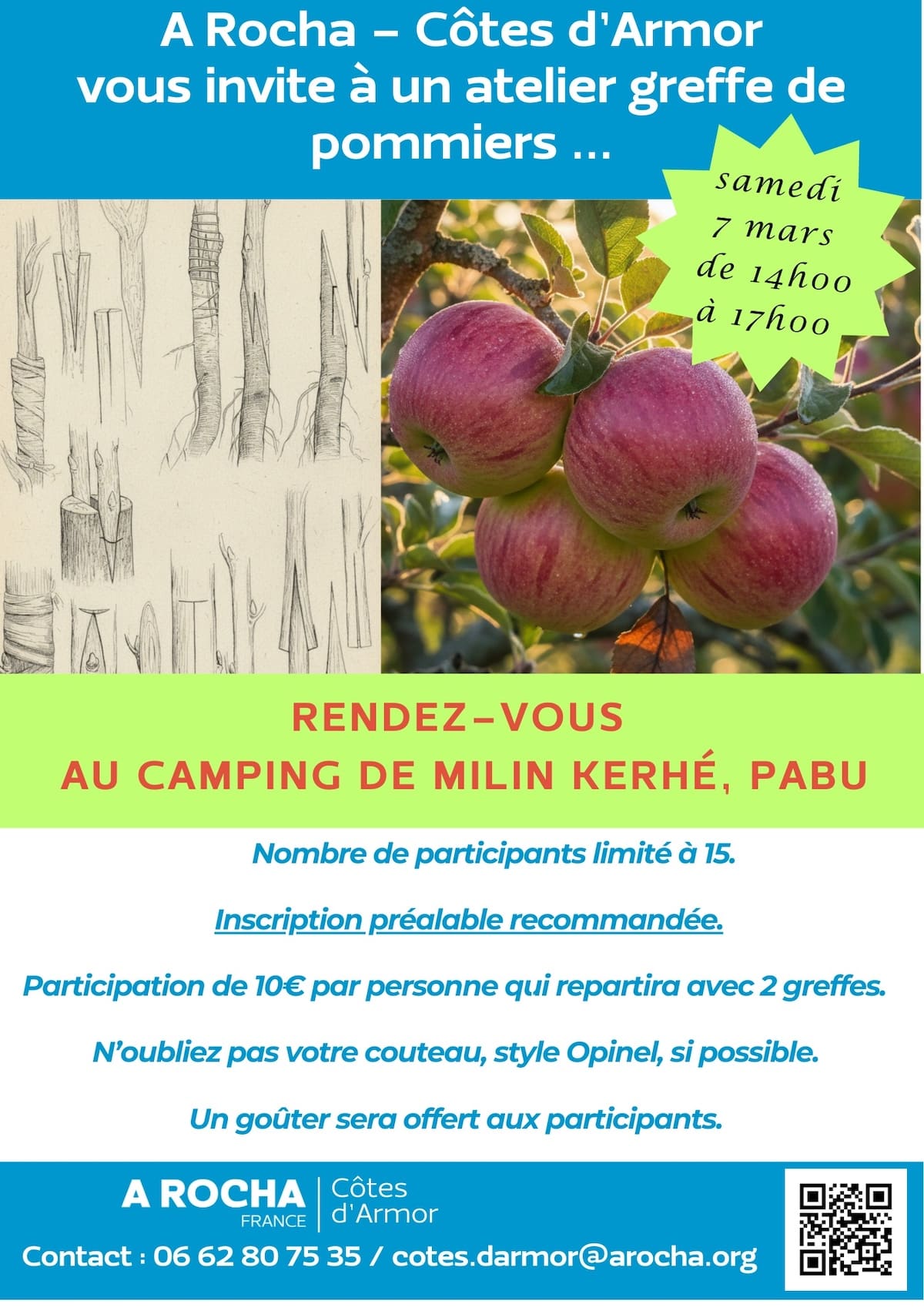 Atelier greffe de pommiers à Pabu