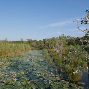 Volontariat en environnement dans la vallée des Baux