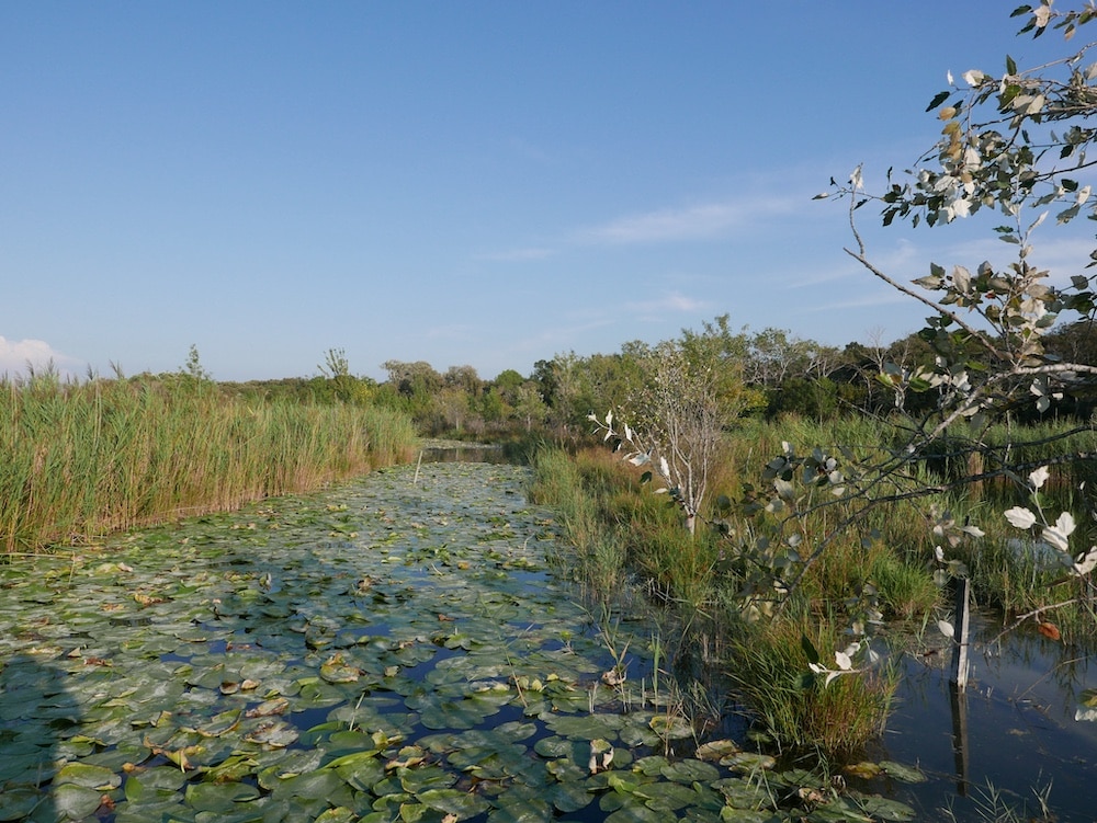 Volontariat en environnement dans la vallée des Baux