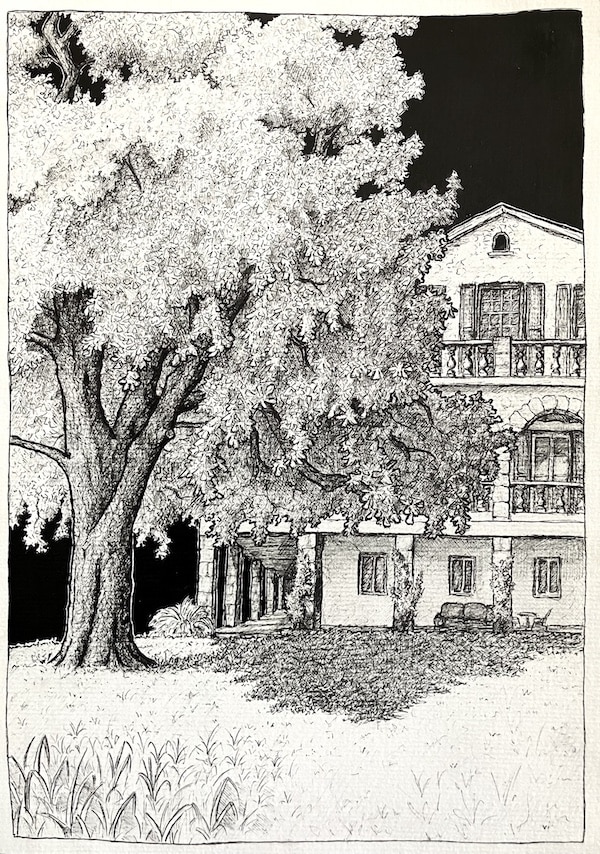 Le domaine des Courmettes, dessin de Flavie