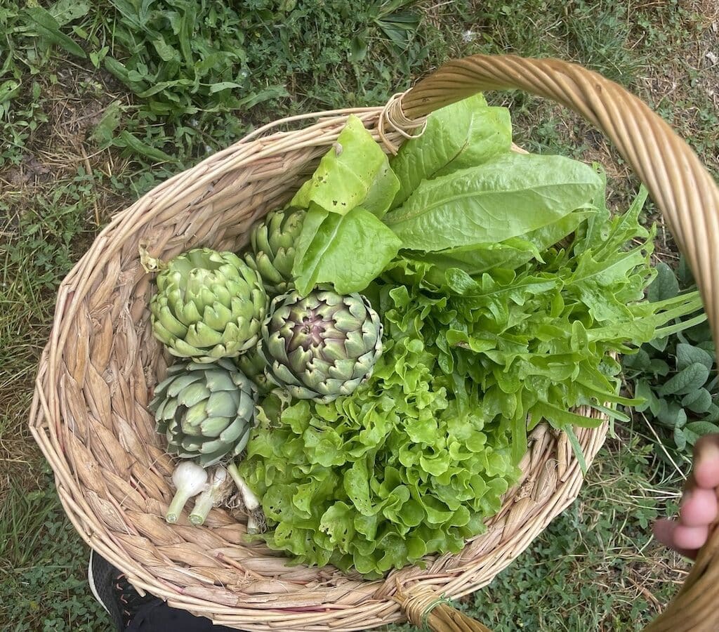 Un panier du jardin pédagogique des Courmettes