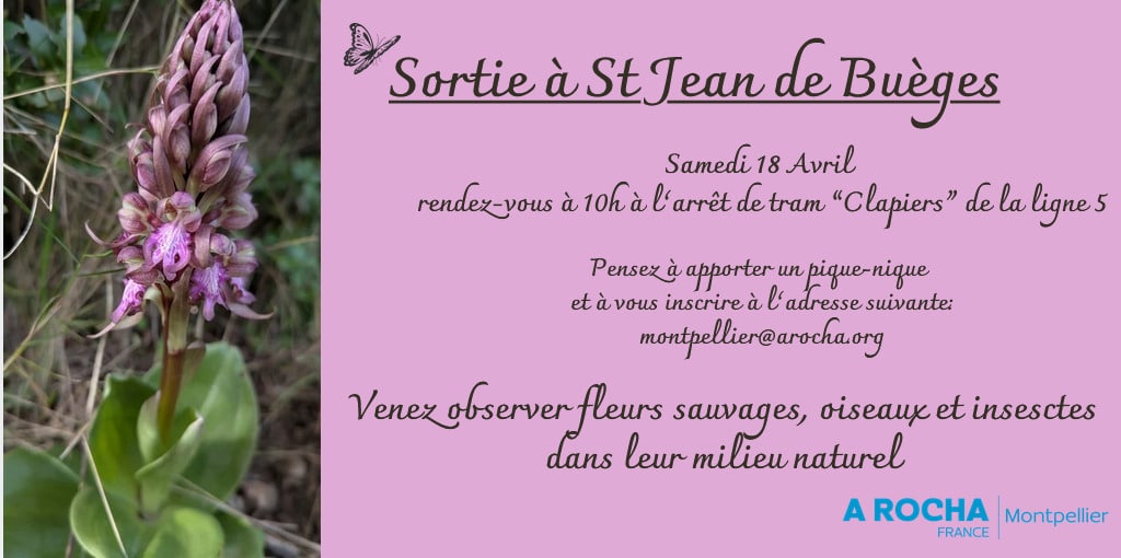 Sortie nature A Rocha Montpellier