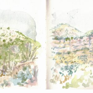 Le sdomaine des Courmettes vue par Flavie, service civique