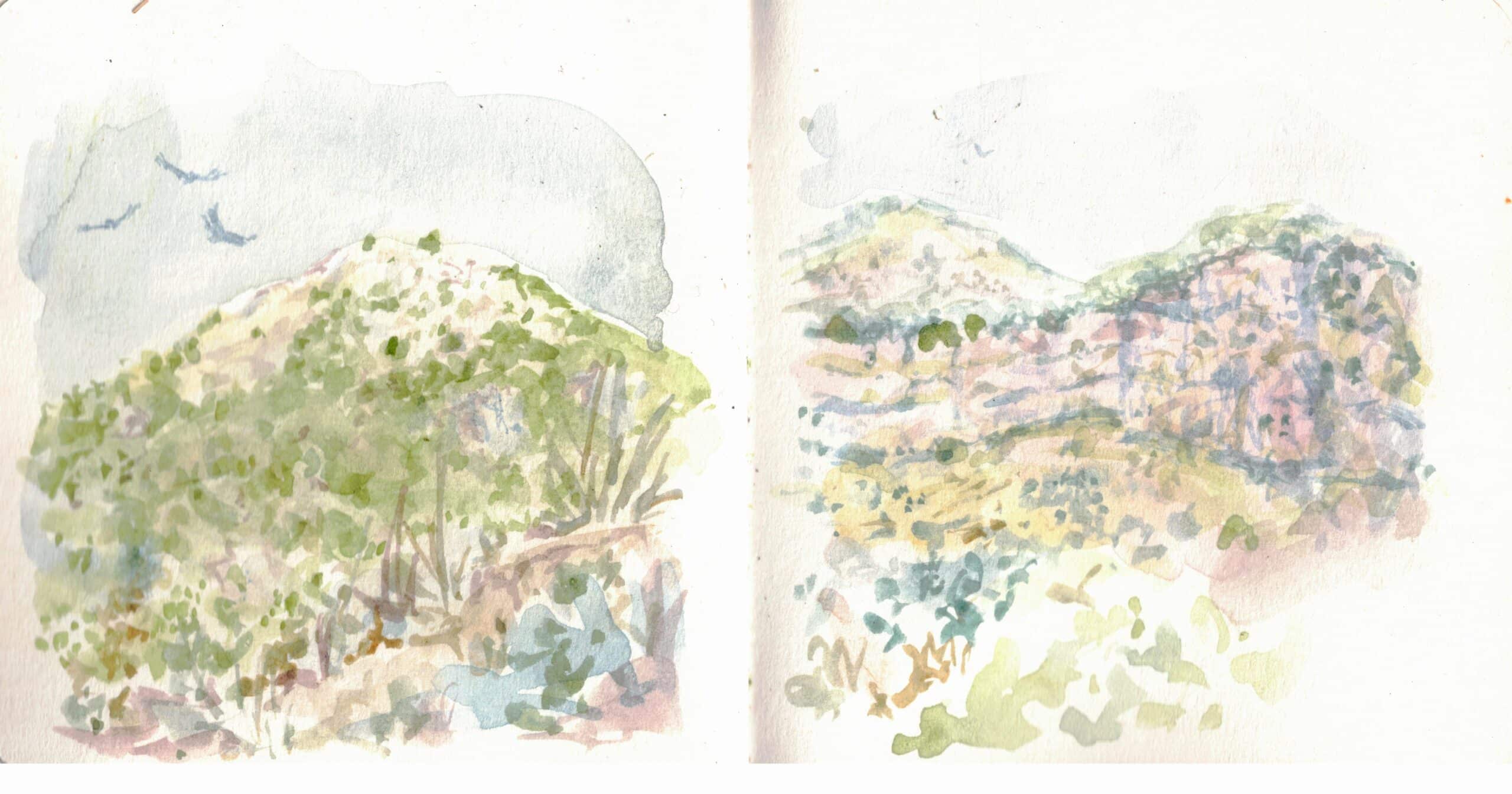 Le sdomaine des Courmettes vue par Flavie, service civique