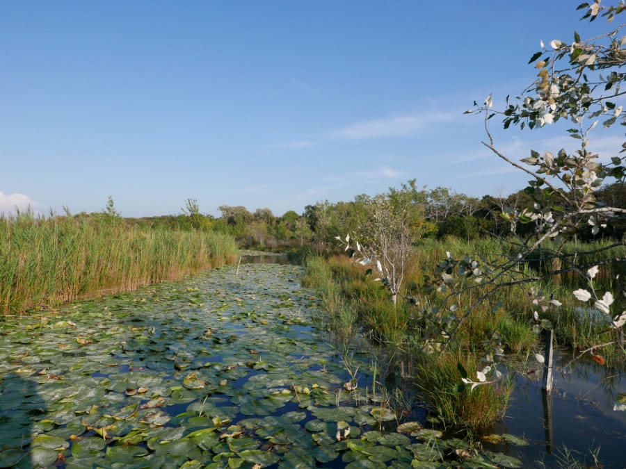 Fête de la nature 2026 dans la vallée des Baux