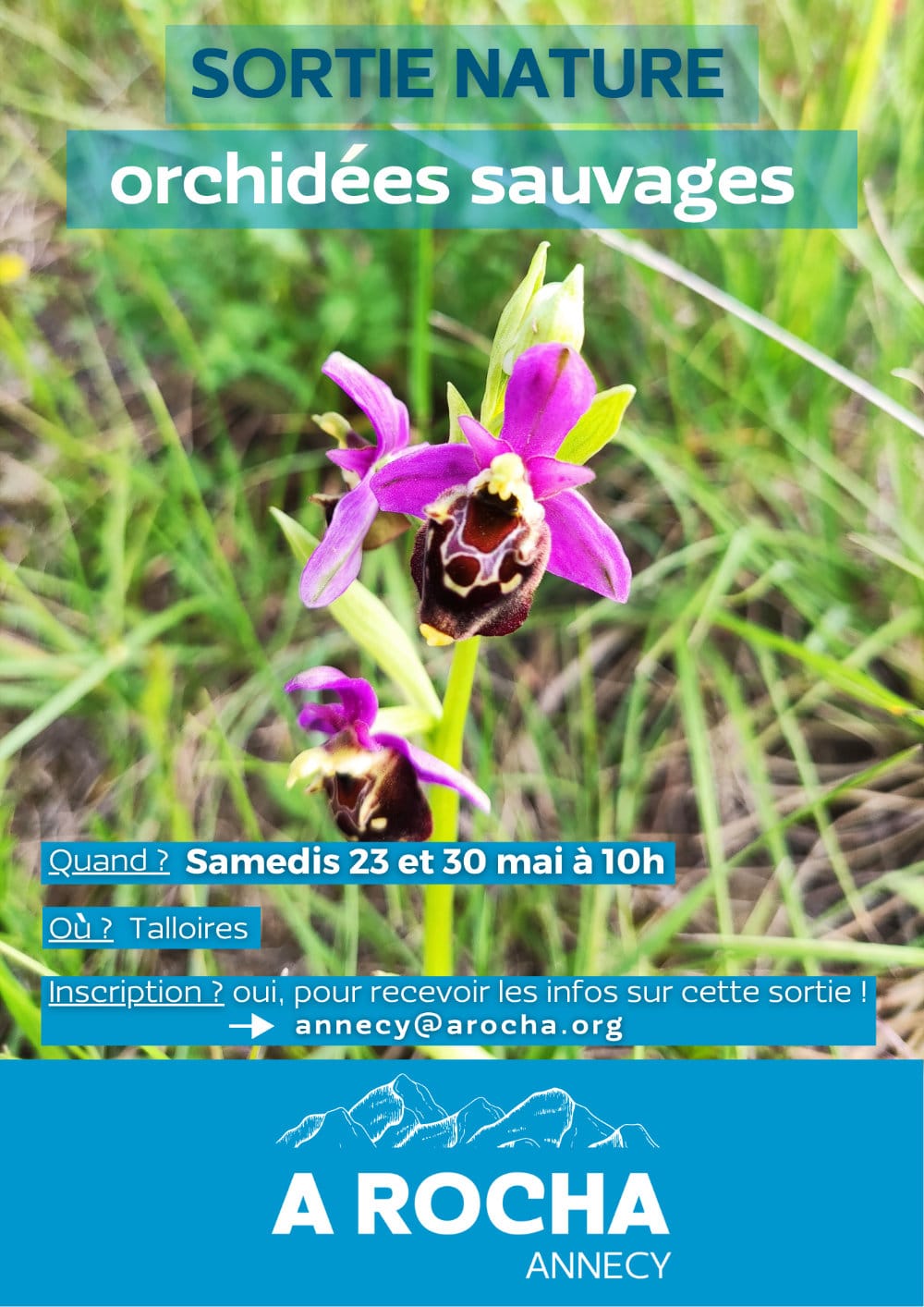 Sortie nature Orchidées sauvages à Talloires