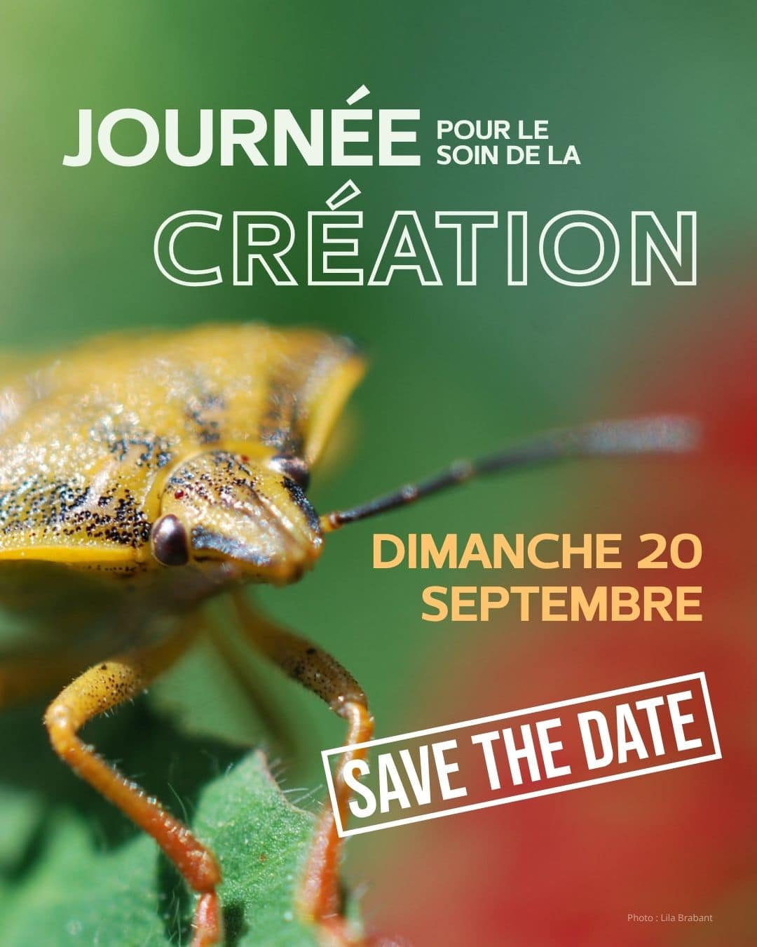 Journée pour la création
