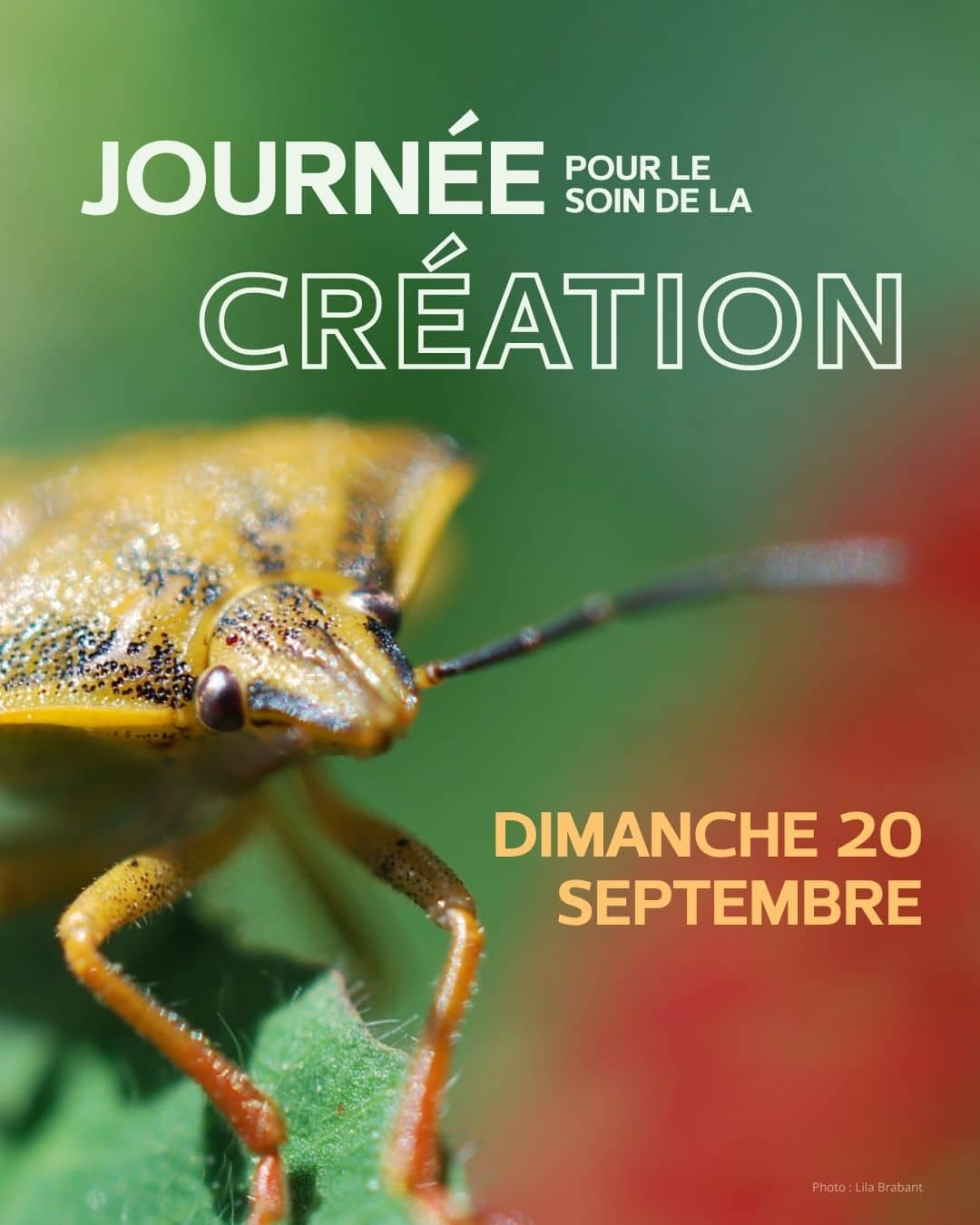Journée pour le soin de la création le 20 septembre 2026