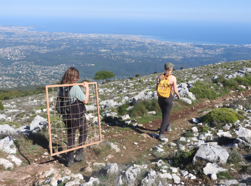 En route pour le suivi des orchidées sauvages