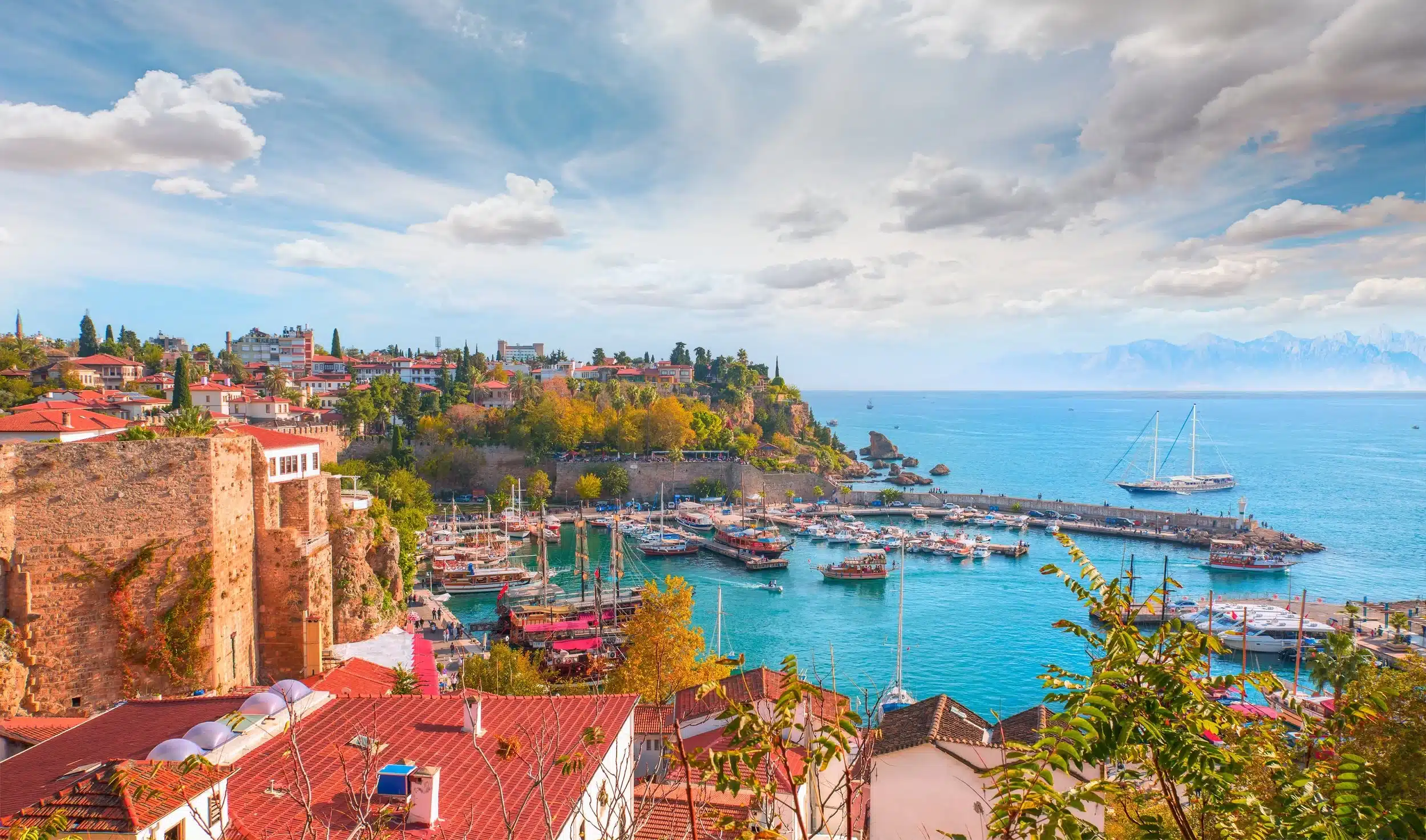 CCOP 31 en Turquie