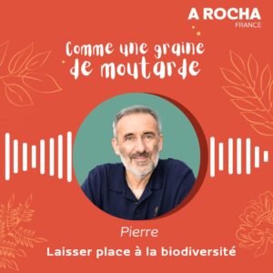 Comme une graine de moutarde - Laisser place à la biodiversité