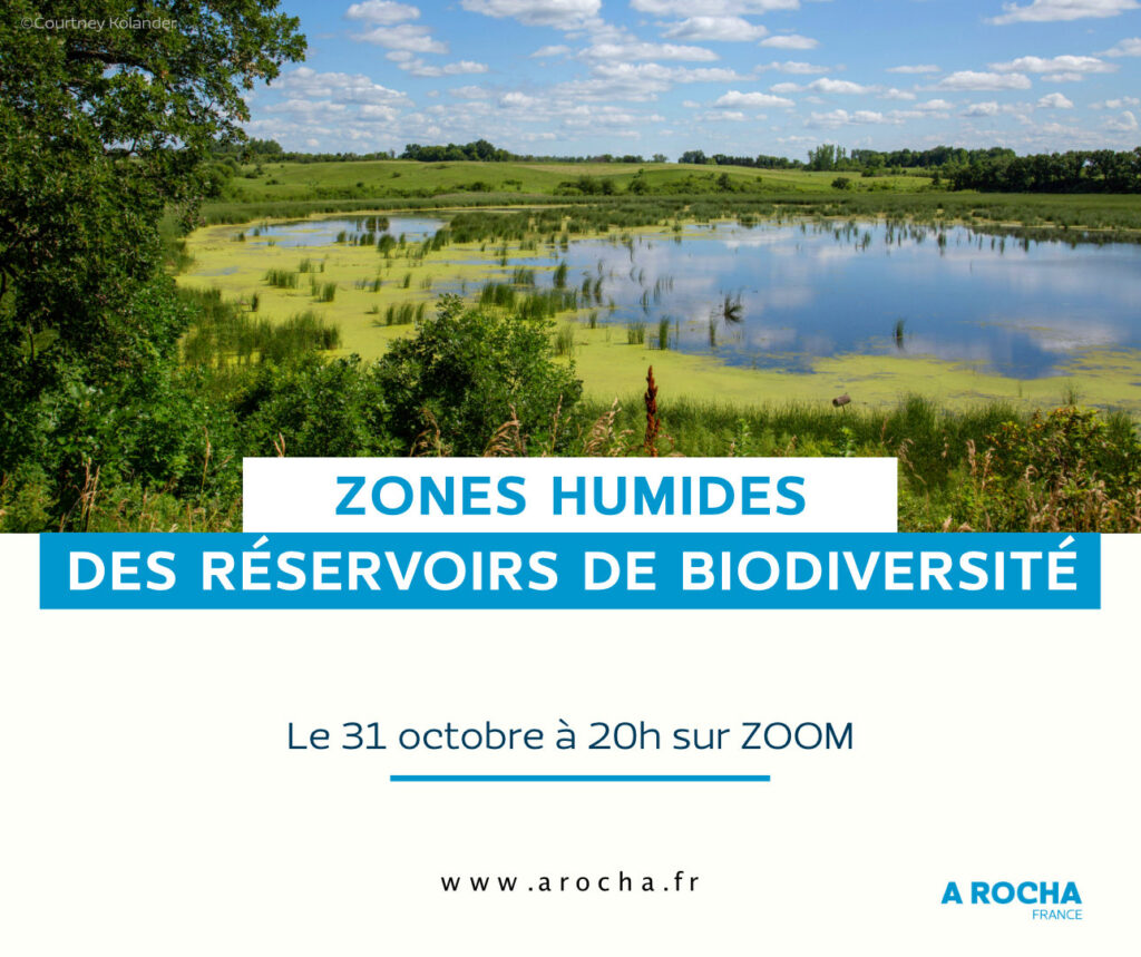 Webinaire zones humides et biodiversité