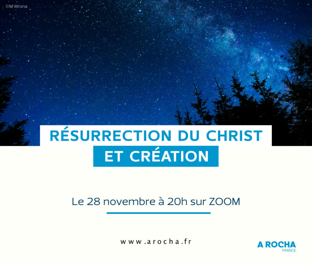 Webinaire Résurrection du Christ et création